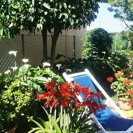 Le 7 Calle דירה *