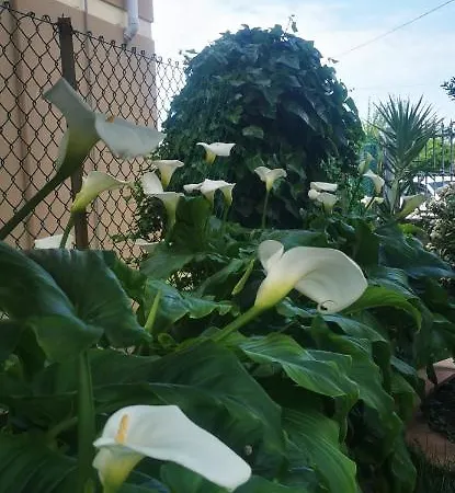 Apartamento Le 7 Calle Pisa